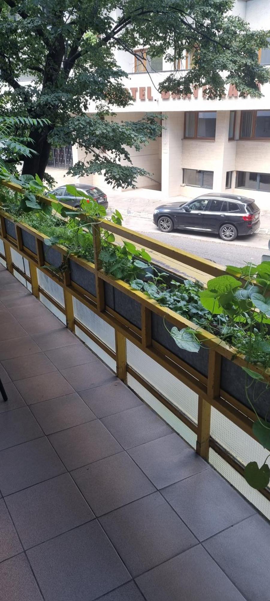 Family Apartman V Centre Mesta Bratislava Διαμέρισμα Εξωτερικό φωτογραφία